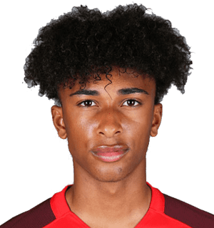 scheda fantacalcio EMANUEL AIWU